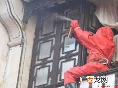 窗外有个马蜂窝怎么办的具体操作步骤 窗外有个马蜂窝怎么办