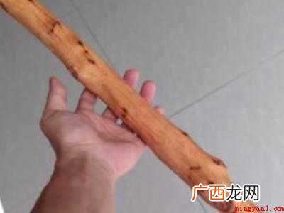 老鼠进车里面怎么处理如何驱赶