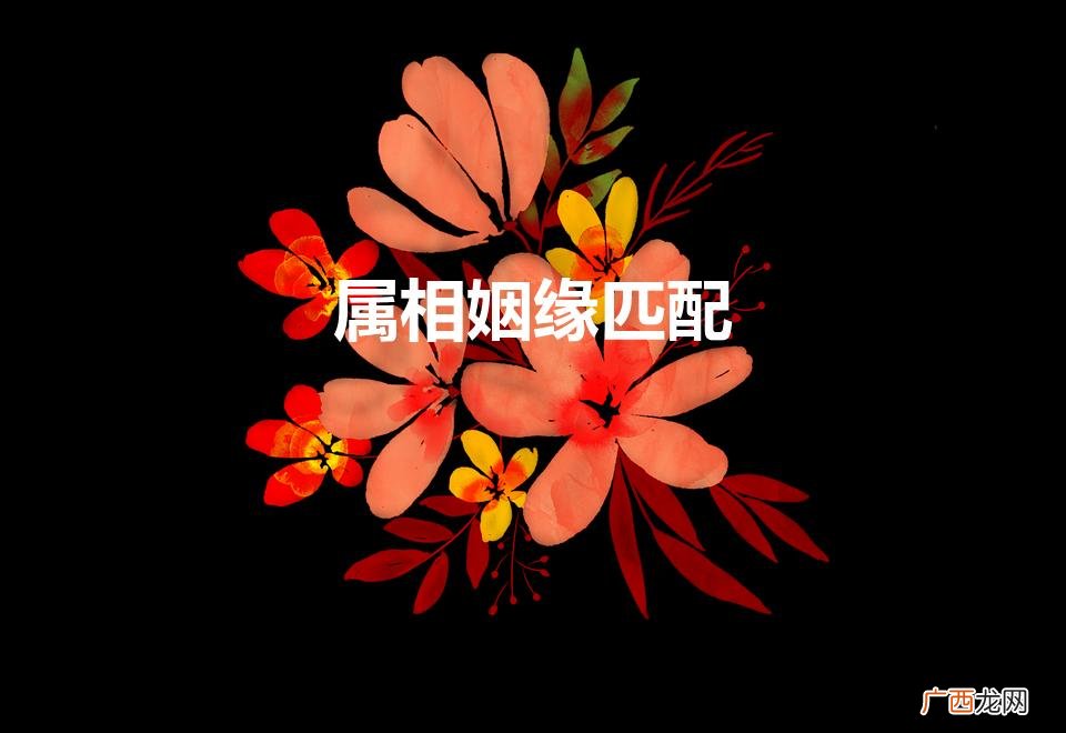 男女八字合婚免费测试 属相姻缘匹配