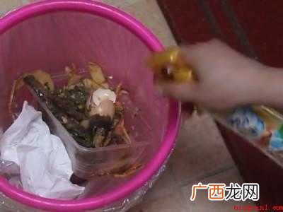 垃圾桶旁边的小虫子怎么消除