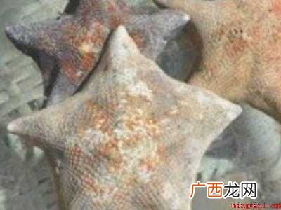海星怎么晒干保存的具体操作步骤 海星怎么晒干保存