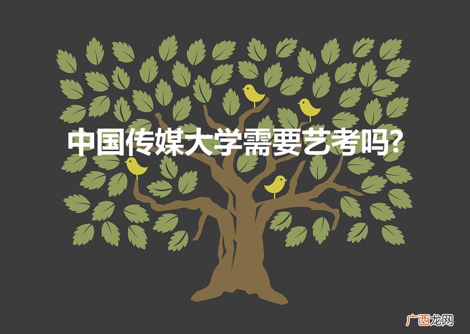 中国传媒大学艺考要求 中国传媒大学需要艺考吗?