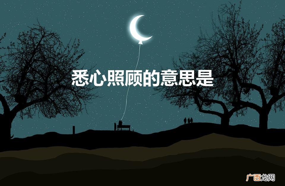 悉心照顾的意思是（悉心的照顾还是细心地照顾)