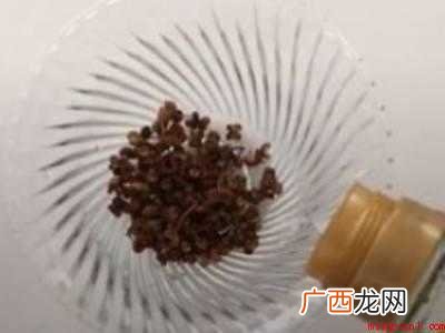 小黑蚊子怎么驱除的具体操作步骤 小黑蚊子怎么驱除