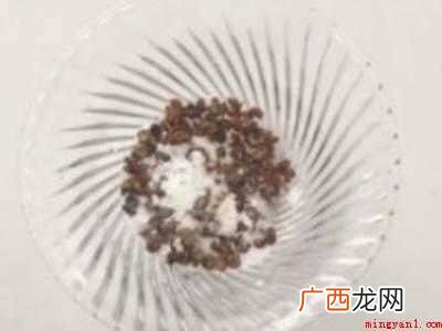 小黑蚊子怎么驱除的具体操作步骤 小黑蚊子怎么驱除