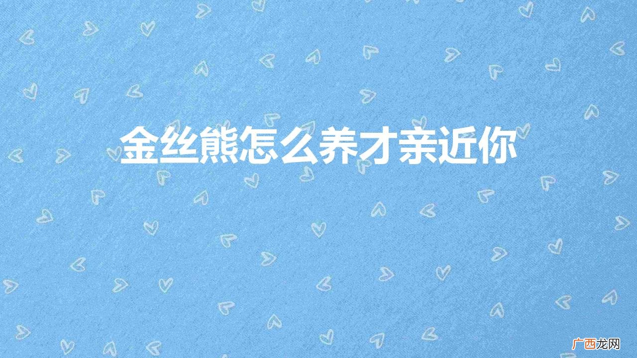 金丝熊养多久开始跟人亲近 金丝熊怎么养才亲近你