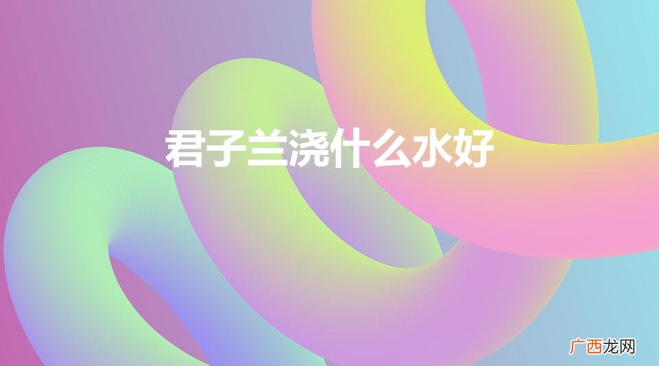 君子兰浇什么水好（君子兰浇啤酒的正确方法)