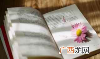 夜泉古诗和意思 夜泉古诗的翻译