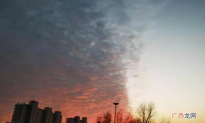 大地震前有动物出现异常行为 地震前兆有哪些现象