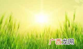 阳光明媚的具体意思 阳光明媚简单释义