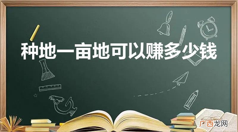 东北种地一场地能赚多少钱 种地一亩地可以赚多少钱