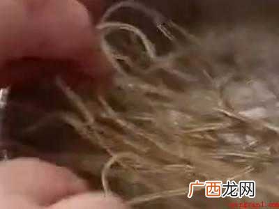 干粉丝怎么快速泡软的具体操作步骤 干粉丝怎么快速泡软