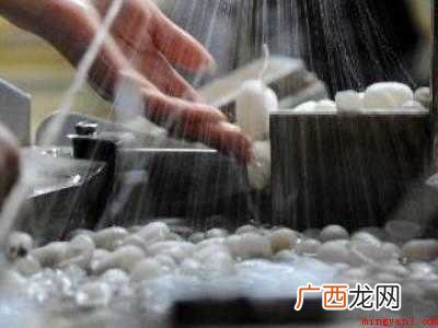 蚕茧长期保存方法的具体操作步骤 蚕茧长期保存方法