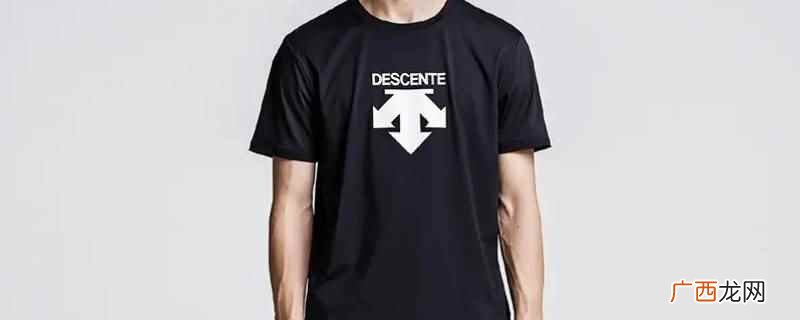 衡水有迪桑特的品牌名DESCENTE 衡水有迪桑特吗
