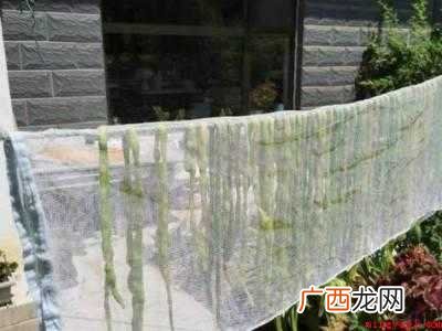 豆角吃不完怎么晒干的具体操作步骤 豆角吃不完怎么晒干