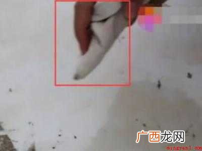 强力焊接剂怎么去除的具体操作步骤 强力焊接剂怎么去除