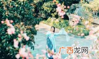 2019年十大诗词排行榜 关于劝学的诗句