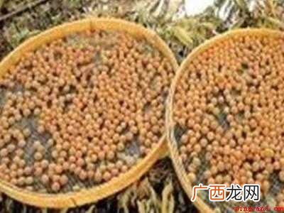 带壳的龙眼怎么晒干的具体操作步骤 带壳的龙眼怎么晒干