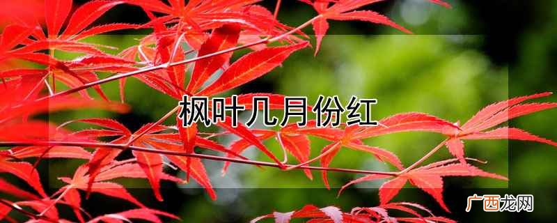枫叶什么时候红 枫叶几月份红