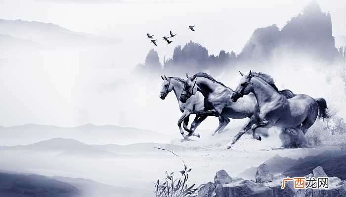 胡服最早由谁引入中原视频 胡服最早由谁引入中原地区