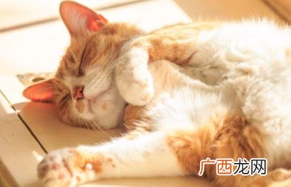 冬天什么时候晒太阳最好 冬天什么时候的太阳最好