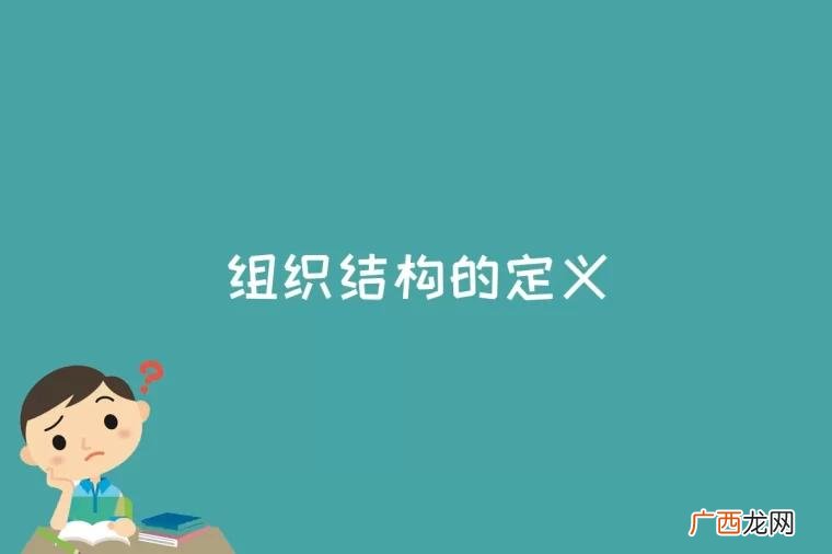 工作任务如何进行分工、分组和协调合作 组织结构的定义是什么