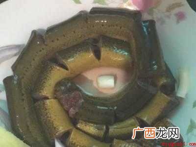 鳝鱼在家怎么杀的具体操作步骤 鳝鱼在家怎么杀