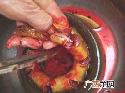 鳝鱼在家怎么杀的具体操作步骤 鳝鱼在家怎么杀