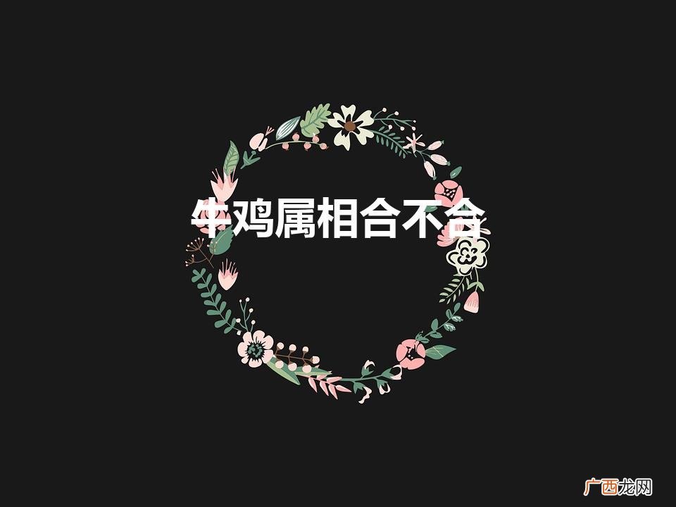 93年鸡男配97牛女是几等婚姻 牛鸡属相合不合