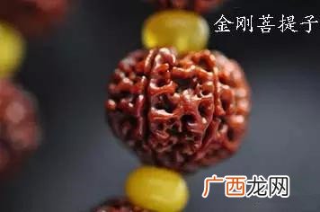 佛珠的菩提子种类及其寓意 菩提手串有什么寓意