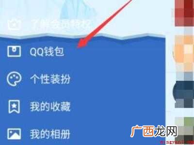 演示机型:Iphone 12 qq在哪里实名认证