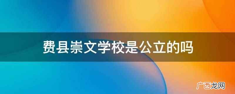 费县崇文学校 费县崇文学校是公立的吗