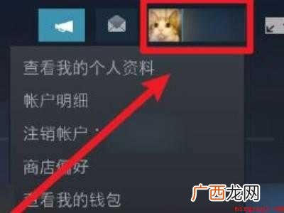 华为MateBook X中解决steam不让好友看到库的具体 steam不让好友看到库