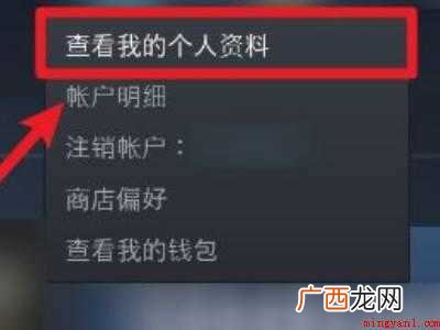 华为MateBook X中解决steam不让好友看到库的具体 steam不让好友看到库
