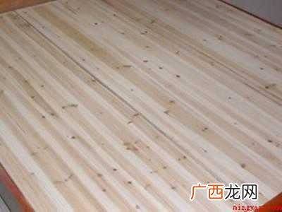 床板有虫子怎么办怎么清理