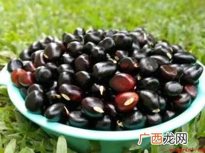 九层皮怎么保存的具体操作步骤 九层皮怎么保存