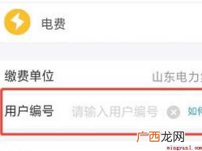 演示机型:Iphone 12 支付宝怎么查电费