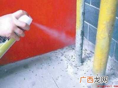 如何去蟑螂的具体操作步骤 如何去蟑螂