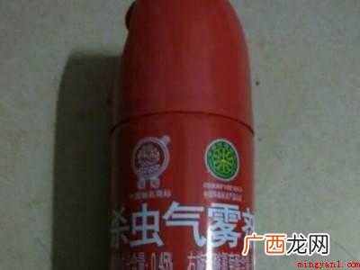 如何去蟑螂的具体操作步骤 如何去蟑螂