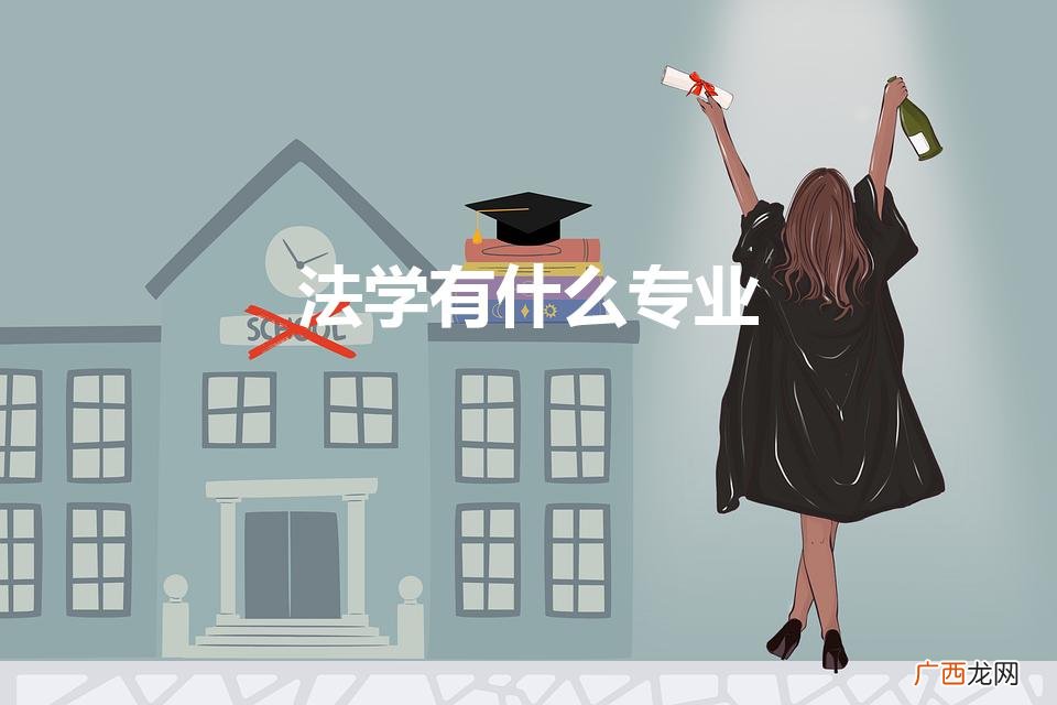 法学有什么专业（法学主要学什么)