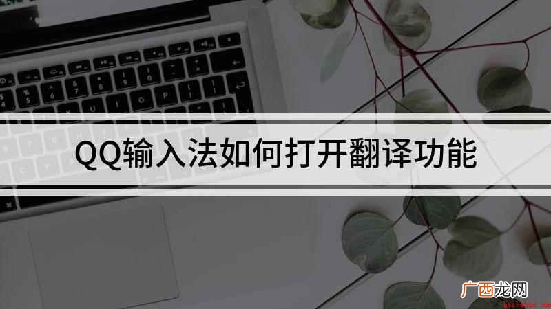 QQ输入法怎么开启翻译功能 QQ输入法如何打开翻译功能