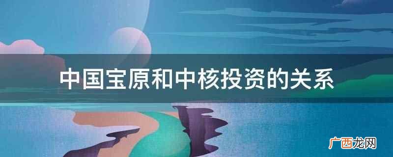 中核投资有限公司招聘信息 中国宝原和中核投资的关系