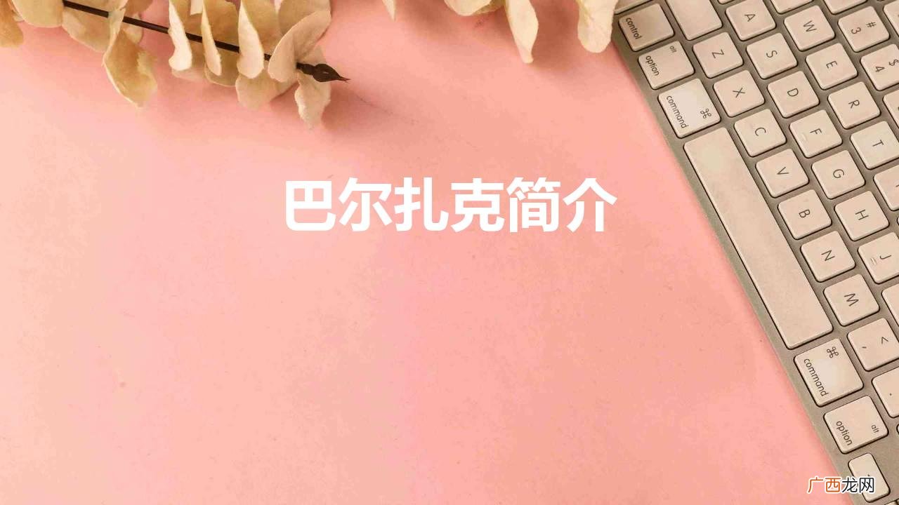 巴尔扎克：痴迷中国的文坛巨匠 巴尔扎克简介