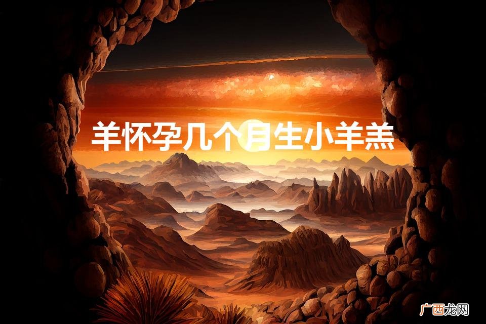 刚怀孕要吃什么比较好 羊怀孕几个月生小羊羔