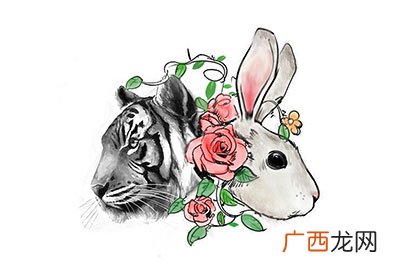 属虎属兔婚姻的结果分析 虎兔两生肖相配吗