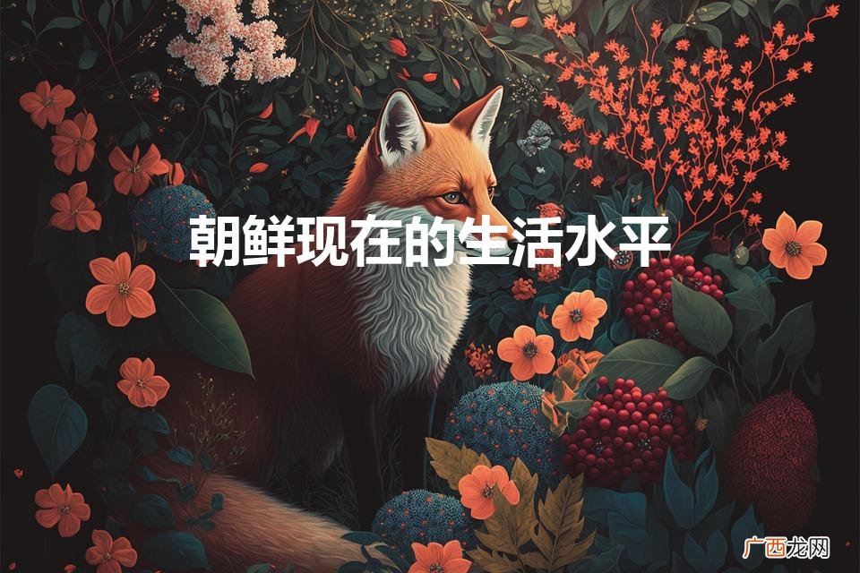 朝鲜现在的生活水平是中国时期那个年代 朝鲜现在的生活水平