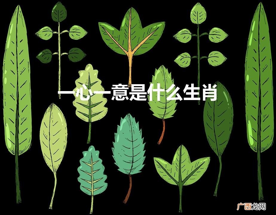 一心一意是什么生肖（一心一意正确答案动物)