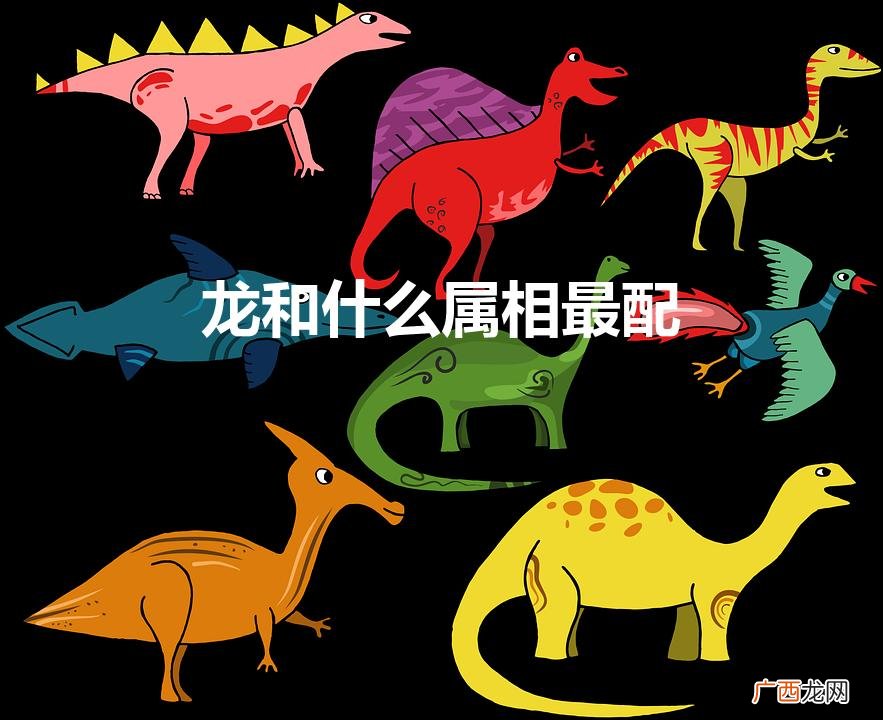 龙和什么属相最配,相克相冲 龙和什么属相最配