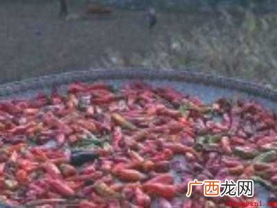 酸辣椒怎么泡又酸又脆的具体操作步骤 酸辣椒怎么泡又酸又脆