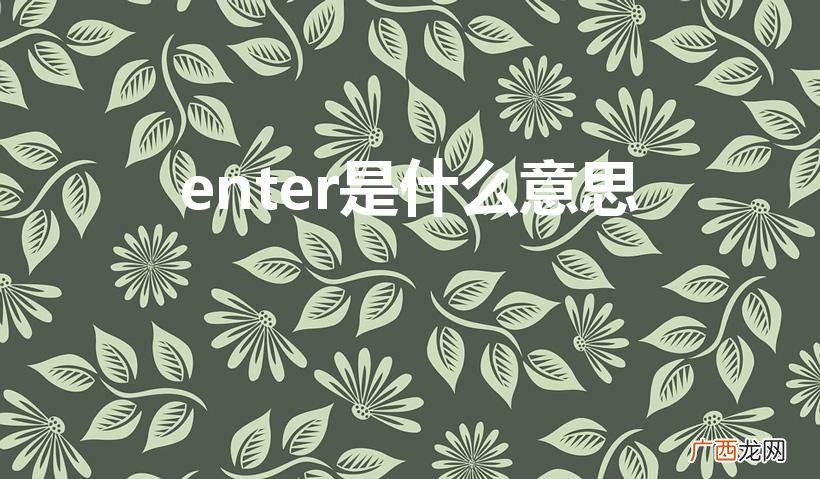英文enter的中文意思 enter是什么意思